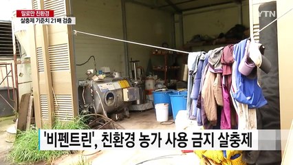 '살충제 달걀 ' 이것이 궁금하다 Q·A / YTN