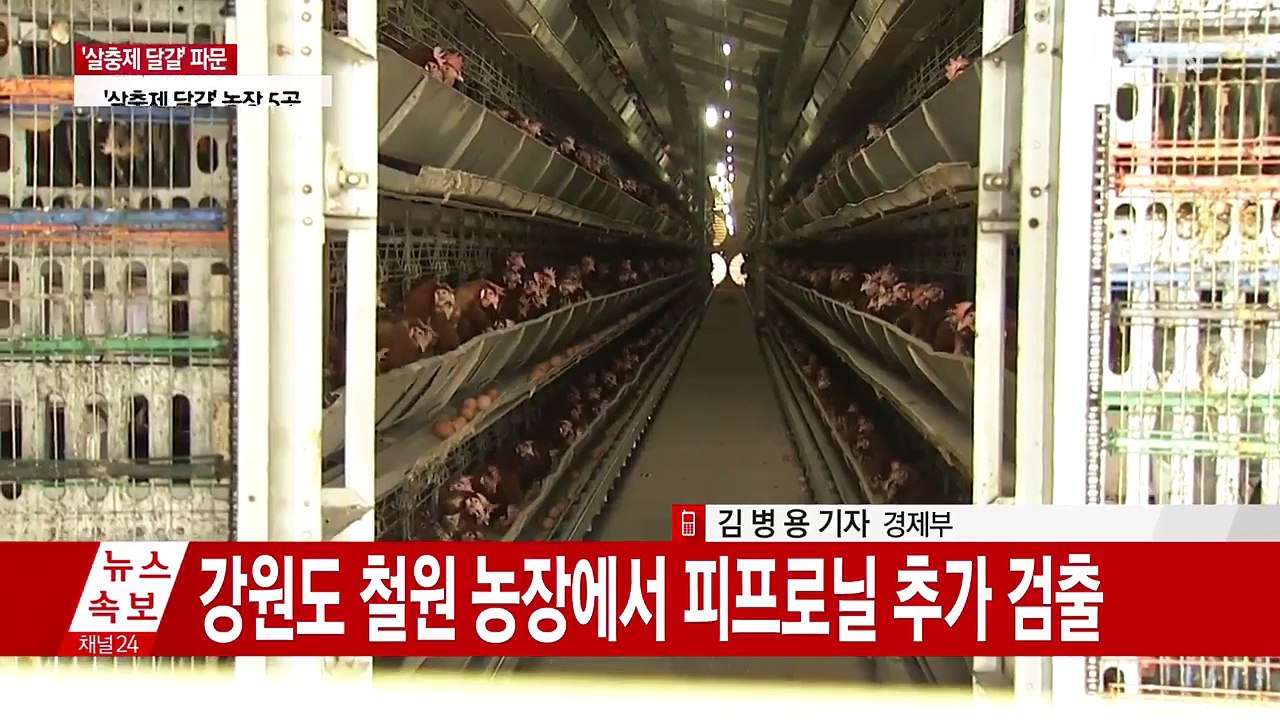 '살충제 달걀' 농장 모두 5곳...나주서도 확인 / YTN