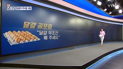 달걀이 무서운 세상...공포 확산 / YTN