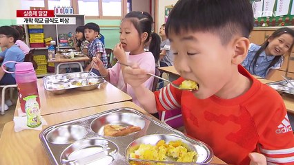 학교 급식에도 '살충제 달걀' 불똥 / YTN