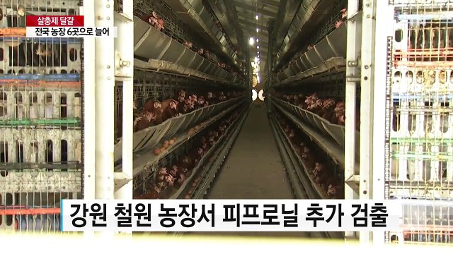 '살충제 달걀' 농장 모두 6곳...유통 제품서도 검출 / YTN