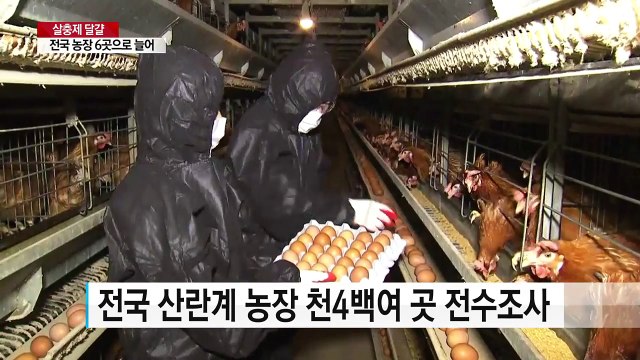 '살충제 달걀' 농장 모두 6곳...유통 제품서도 발견 / YTN
