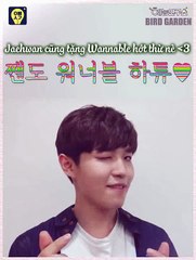 [Vietsub] WANNA ONE - PREVIEW OPPA THINKING #5