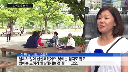 [날씨] 벌써 가을?...계속된 비에 자취 감춘 더위 / YTN