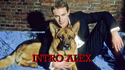 Sigle commissario REX