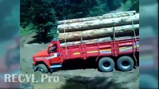 Timber Trucks on Extreme Roads - SPECIAL LOGGING TRANSPORT