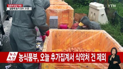 [취재N팩트] 살충제 달걀 농가 31곳 확대...87%가 친환경 / YTN