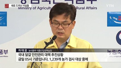 살충제 달걀, 새로 드러난 팩트! / YTN