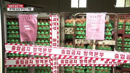 또 무더기 검출...'살충제 달걀' 전국으로 확산 / YTN