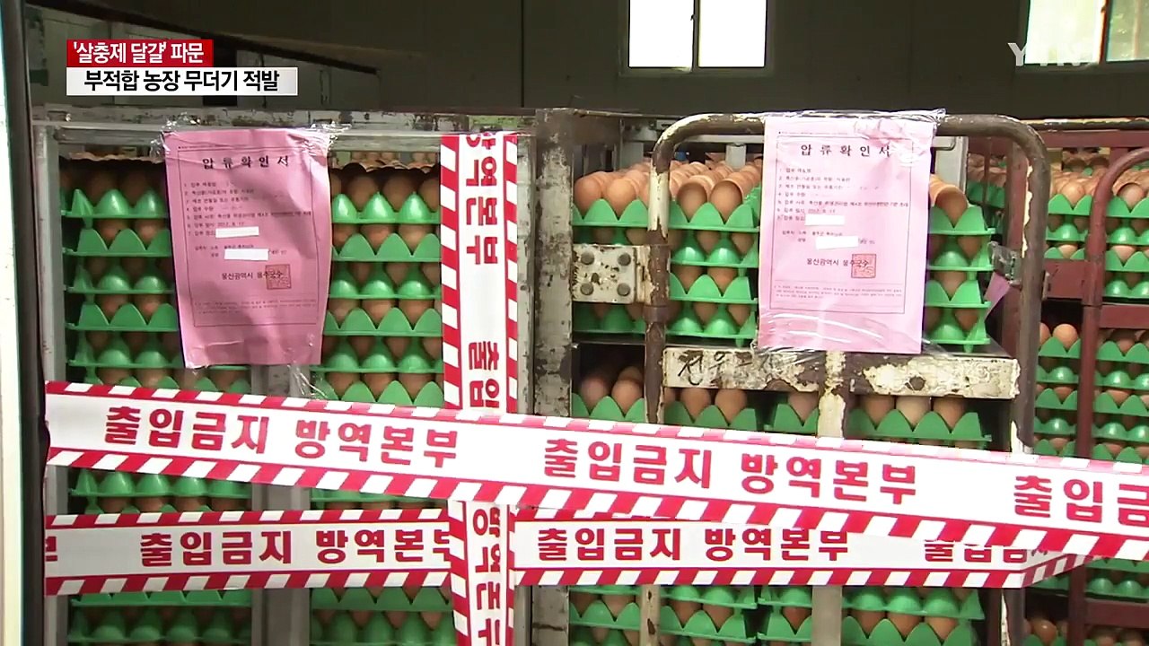 또 무더기 검출...'살충제 달걀' 전국으로 확산 / YTN