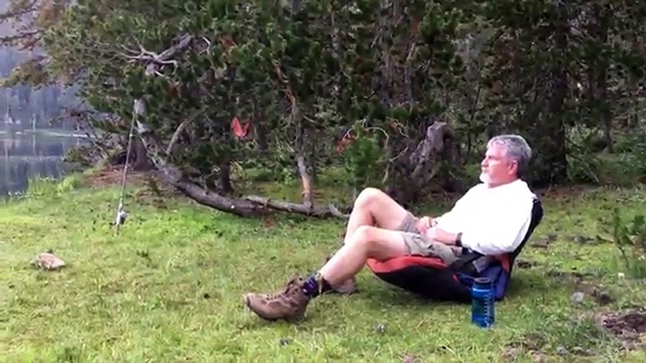 Des insectes bougent à la surface d'un lac