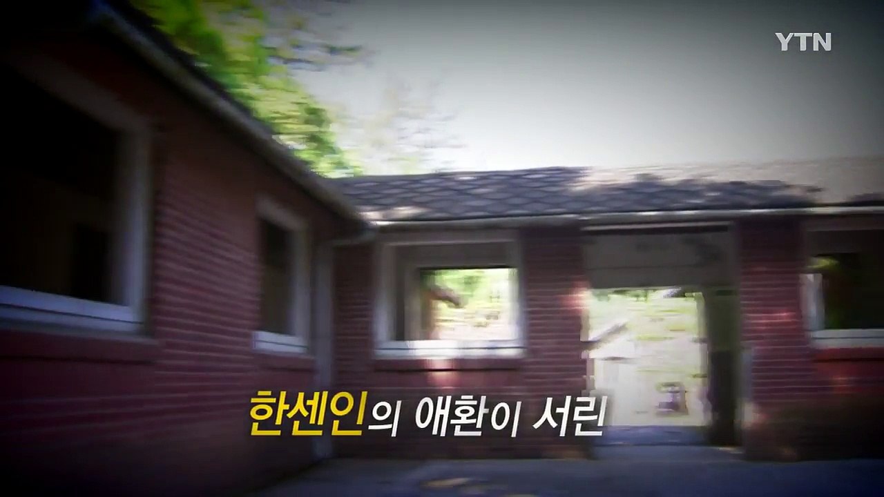 [영상] '소록도 천사' 마리안느·마가렛, 노벨평화상 본격 추진 / YTN