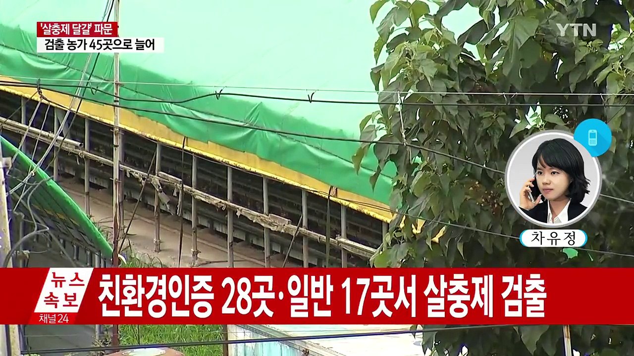 '살충제 달걀' 농가 45곳으로 확대 / YTN