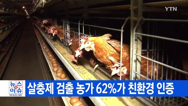 [YTN 실시간뉴스] 살충제 검출 농가 62%가 친환경 인증 / YTN