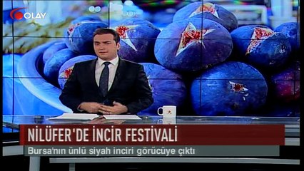 Nilüfer'de incir festivali (Haber 11 09 2017)
