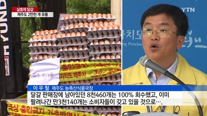 제주에도 살충제 달걀 유통 ...경기서 유입된 2만천 개 / YTN