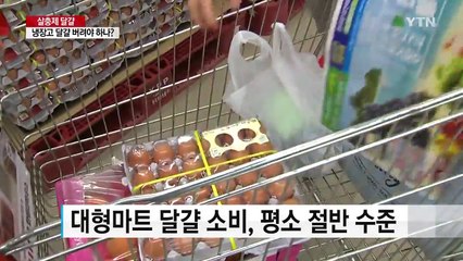 냉장고 속 달걀, 버려야 할까...막연한 불안감 떨쳐야 / YTN