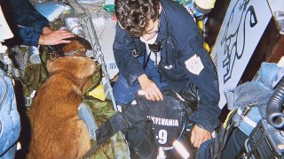 The Heroic Dogs of 9-11