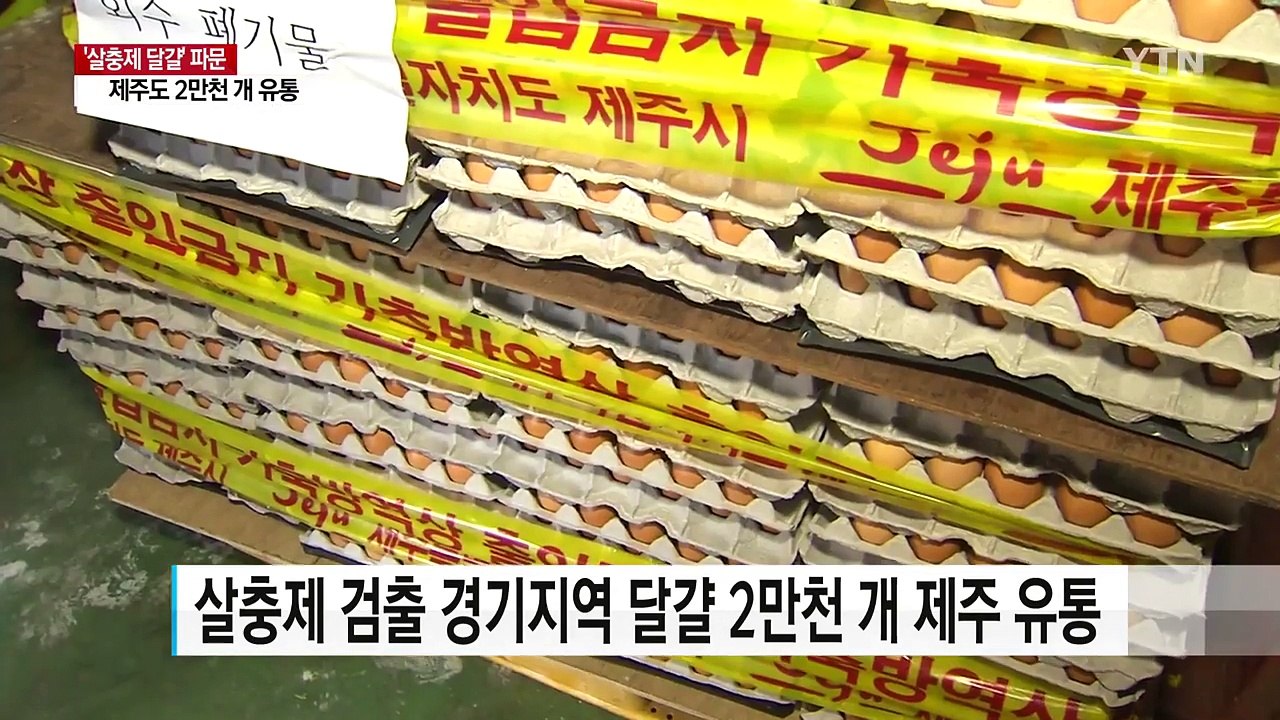 제주에도 살충제 달걀 유통 ...경기서 유입된 2만천 개 / YTN