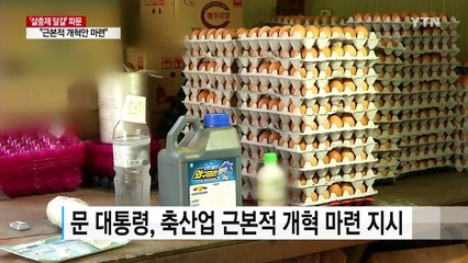 문 대통령 "근본적 개혁안 마련"...공장식 축산 손볼까? / YTN