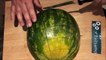 how to cut a watermelon and cantaloupe slicing tricks & tips for cutting fruits