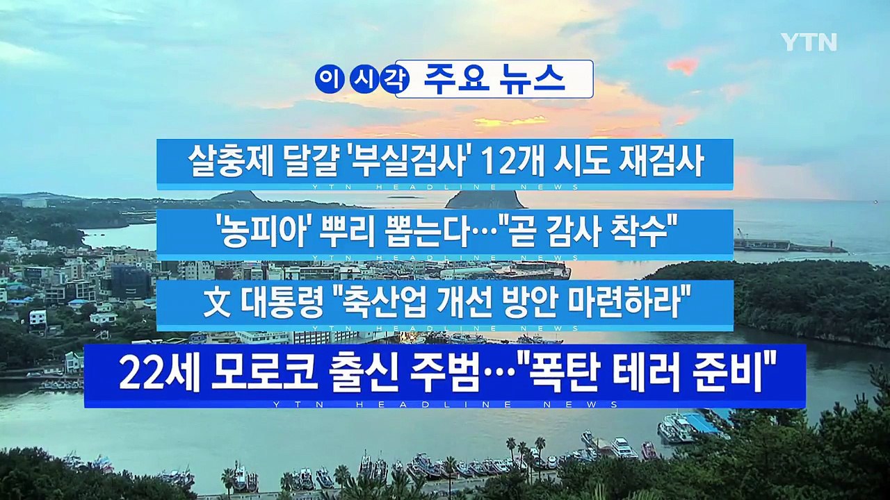 [YTN 실시간뉴스] 살충제 달걀 '부실검사' 12개 시도 재검사 / YTN