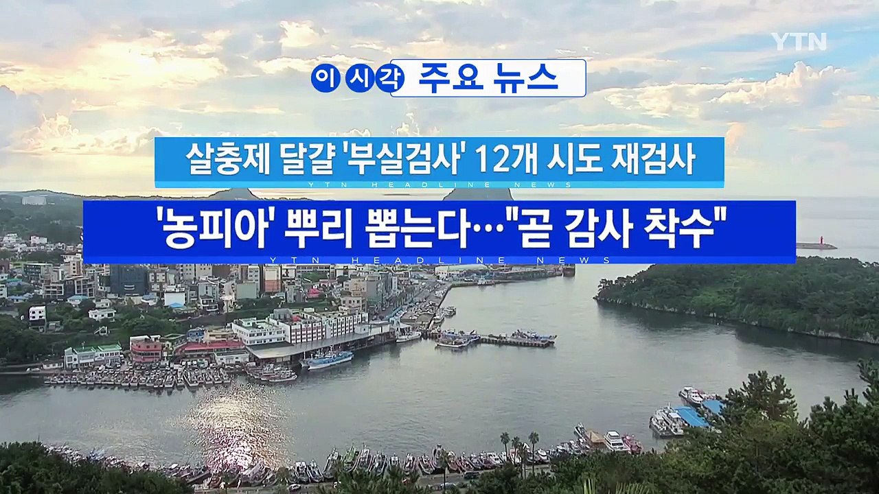 [YTN 실시간뉴스] 살충제 달걀 '부실검사' 12개 시도 재검사 / YTN