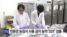 친환경 농장에서 38년 전 판매금지 농약 'DDT' 검출 / YTN
