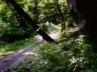 바카라동호회＼＼【 ＢＳＣ８２。ＣＯＭ 】＼＼바카라더블