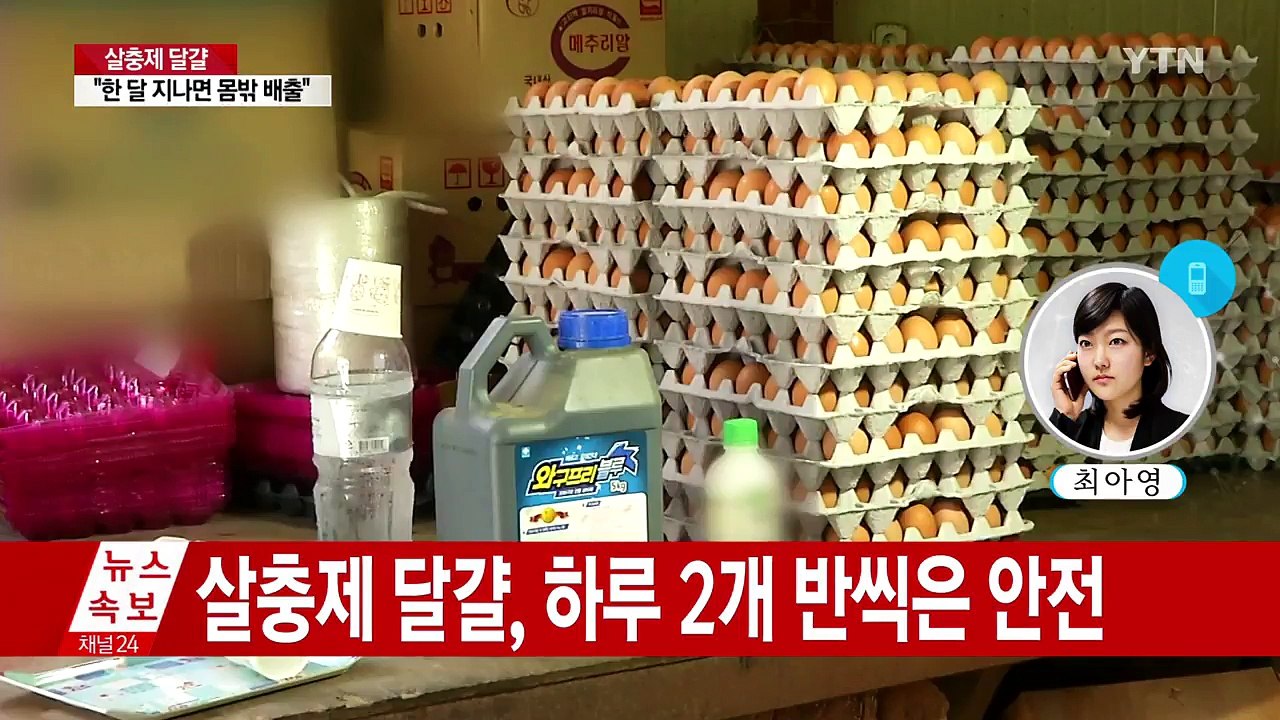 식약처 "살충제 달걀, 평생 매일 2.6개 먹어도 큰 문제 없어" / YTN