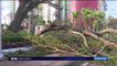Floride : l'ouragan Irma s'engouffre dans les villes