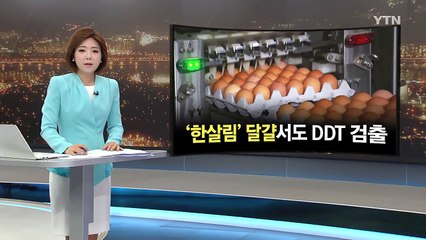 한살림 달걀서도 DDT 검출..."판매 중단" / YTN