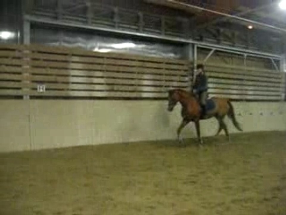 Galop
