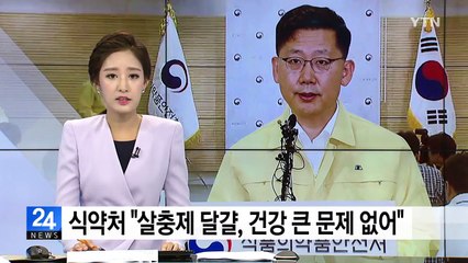 식약처 "살충제 달걀, 건강 큰 문제 없어" / YTN
