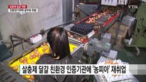 살충제 달걀 친환경 인증기관에 '농피아' 무더기 재취업 / YTN