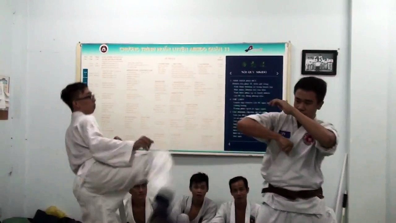 Self Defense aikido