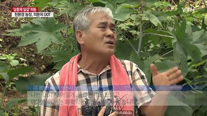 친환경 농장의 DDT 미스터리...토양 조사 착수 / YTN