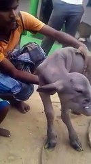 Une étrange découverte