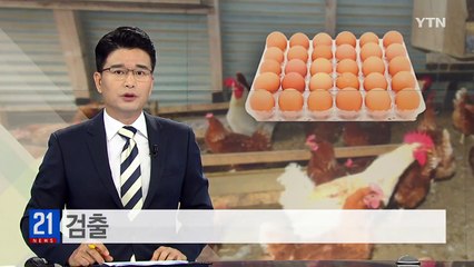 DDT 달걀 농장 닭에서도 검출...2마리는 기준치 초과 / YTN