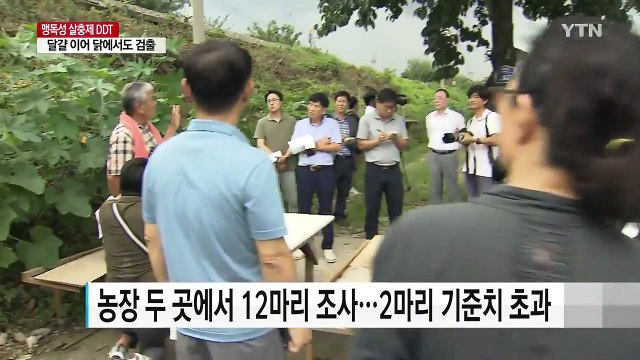 DDT 달걀 농장 닭에서도 검출...2마리는 기준치 초과 / YTN