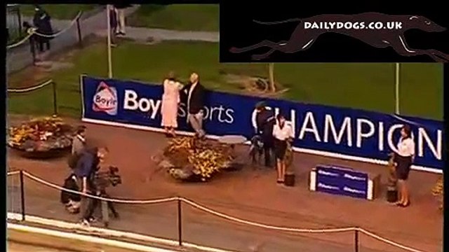 2008 Boylesports Champion Stakes Greyhound Racing