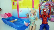 Barbie, Elsa, Homen Aranha na corrida de cachorrinhos!!! Abrindo SHOPKINS SÉRIE 5!!! Em Portugues