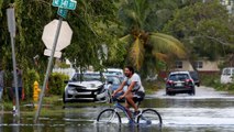 The Day after - aufräumen nach Irma