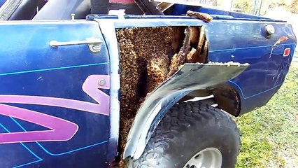 Il découpe la tôle de son pick-up et regardez ce qu'il va trouver à l'interieur!