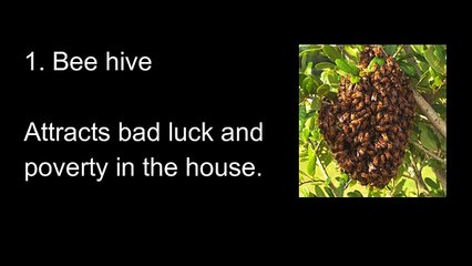 एक झटके में करोडपति बनना चाहते है तो ये चीजे घर से बाहर फेंक दे