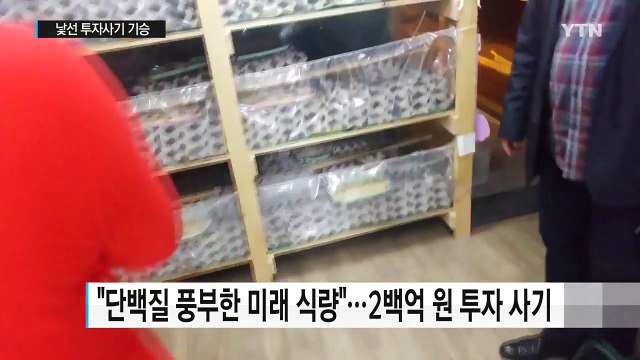 '귀뚜라미, 가상화폐...' 대박의 꿈 노린 사기 기승 / YTN