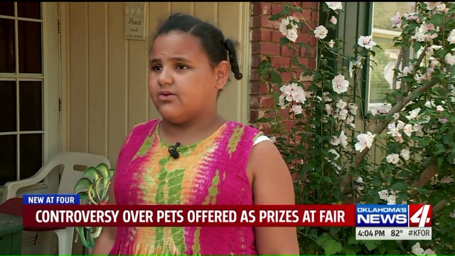 Legislation in the Works After 10-Year-Old Girl Writes Letter About Receiving Pets as Prizes at County Fair