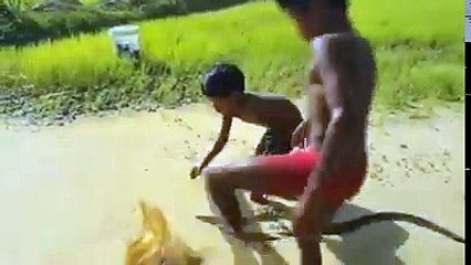 Snake Kids Super unbeliveable kids daring video in jungle amazing