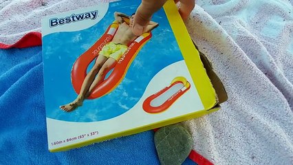 fileli deniz yatağı , eğlenceli çocuk videosu