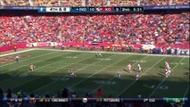 NFL 2012-13 W16 Kansas City Chiefs vs Indianapolis Colts